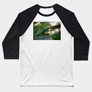 Helmeted Beauty Baseball T-Shirt